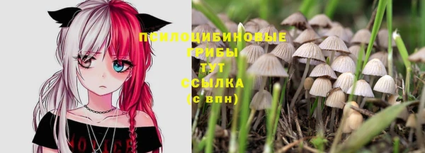 хмурый Сосновоборск